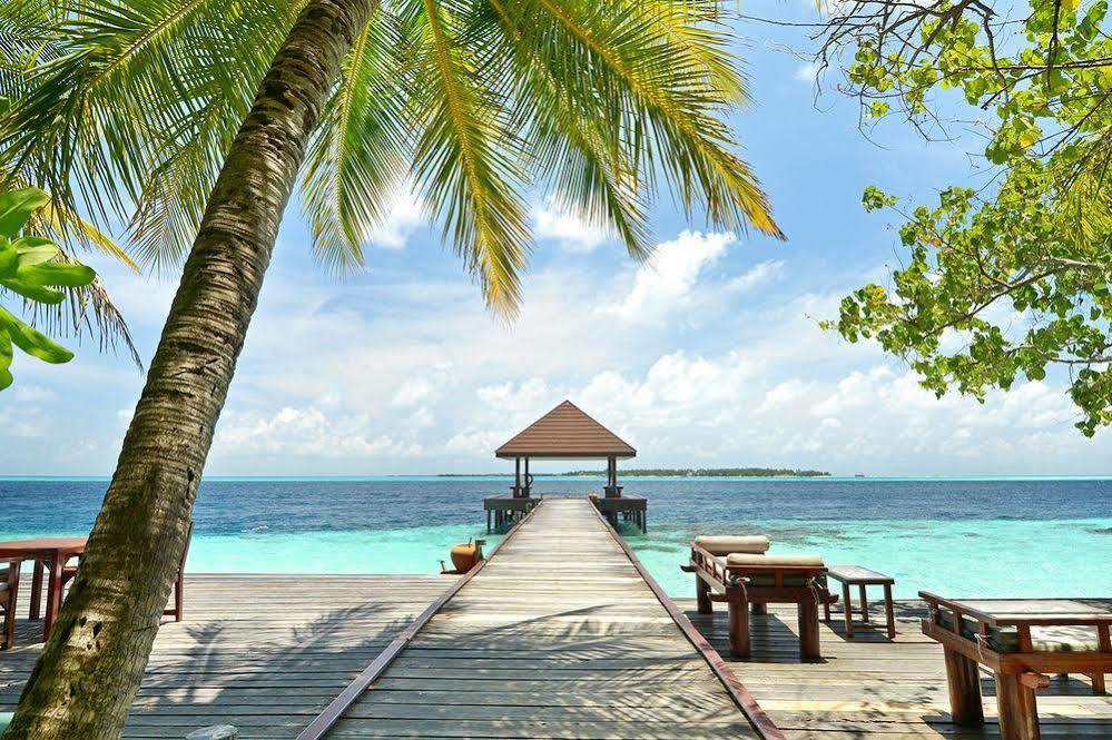 Ranveli Village Villingilivaru Island Exteriör bild